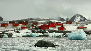Dos docentes fueron a la Antártida, quedaron varados y no saben cuándo vuelven