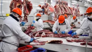 Inflación: advierten que los precios aumentaron más del 3% en noviembre, impulsados por la suba de la carne