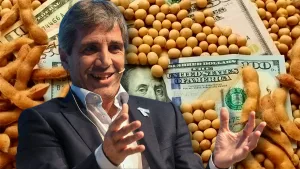 En busca de unos dólares: el Gobierno anunció baja de retenciones de entre 1% y 2% para exportaciones de cereales y oleaginosas