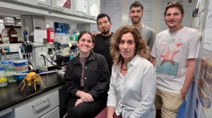 Logran ver, por primera vez, cómo a lo largo del día varían las “fábricas de energía” de neuronas del reloj biológico