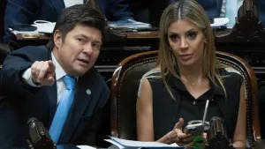 Ni saben lo que votan: un diputado libertario elogió el proyecto de Presupuesto peronista creyendo que era el propio