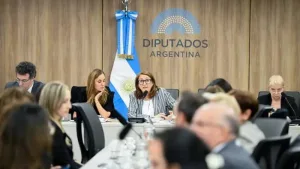 Desde Unión por la Patria presentaron observaciones y recomendaciones al Informe sobre el fentanilo contaminado