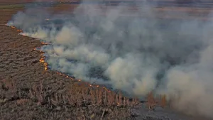 Ecocidio en el Delta: la Corte Suprema condenó a Nación, Buenos Aires, Entre Ríos, Santa Fe y a Rosario y Victoria por las quemas en las islas