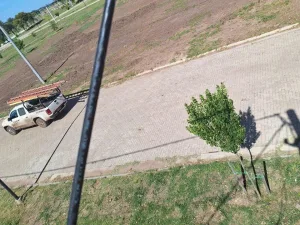 Detectan nuevo loteo enganchado de la red de EPE: ya son más de 81 mil inspecciones en el año