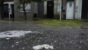 Doble crimen en la zona sudoeste: piden perpetua para el acusado de matar a su ex pareja y al actual novio de la mujer