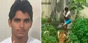 Un joven murió en Brasil atacado por una leona