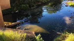 ludueña contaminacion