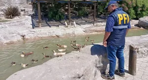 Mar del Plata: allanaron un parque marino por presunta contaminación