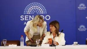 Bullrich en el Senado