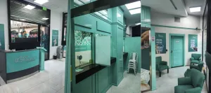 Sur Finanzas: procesaron con prisión preventiva a la tesorera