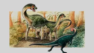 Descubren una nueva especie de dinosaurio saurópodo en Neuquén