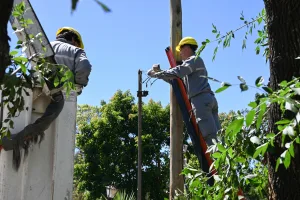 Villa Gobernador Gálvez: más de 200 vecinos notificados por fraude eléctrico
