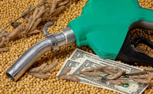 Europa endurece normativas ambientales y peligran las exportaciones argentinas de aceite y biodiésel de soja