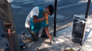El municipio colocará nuevos cestos papeleros en avenida Pellegrini