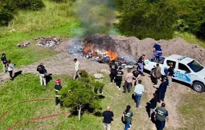 Procesaron a policías chaqueños por intentar robarse 9 ladrillos de cocaína y cambiarlos por otros de yeso en una quema de droga