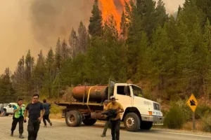 Alerta en Chubut: se reactivaron los incendios forestales por los vientos y las altas temperaturas