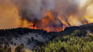 Reacción tardía: el gobierno de Milei cedió y declaró por decreto la Emergencia Ígnea en Chubut, Río Negro, Neuquén y La Pampa
