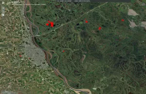 De nuevo: hay varios focos de incendio en las islas del Paraná frente a Rosario y piden denunciar a quienes los inician