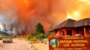 Chubut bajo fuego: los incendios no ceden en la Patagonia y se reactivó el foco en el Parque Nacional Los Alerces