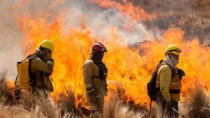 En medio de la emergencia por los incendios en la Patagonia, acusan al gobierno de Milei de “desfinanciar” el Servicio Nacional del Manejo del Fuego
