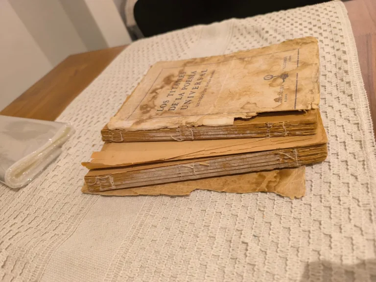 Microtaller: el refugio donde se recupera la memoria y la identidad guardadas en papel