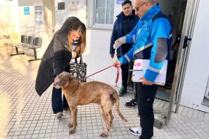 En el último año la oficina de Protección Animal consumó más de 200 rescates en Rosario