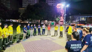 un equipo de brigadistas