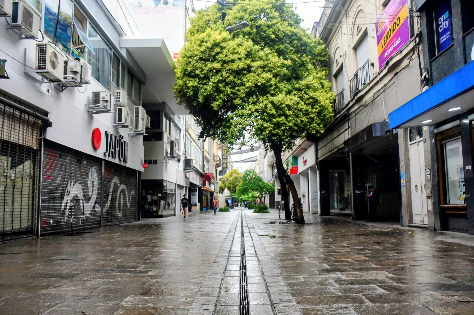 En Rosario sí hubo movilización contra la reforma antilaboral: gremios y agrupaciones sociales marcharon por el centro de la ciudad