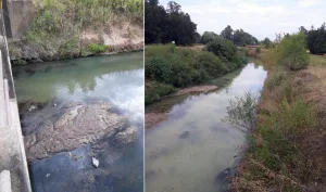 Una cloaca documentada día a día: vecinos y concejal presentaron denuncia penal por la contaminación del arroyo Ludueña