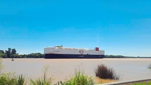 Autos chinos en Argentina: precios, modelos y por qué crecieron un 500% en ventas