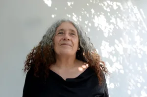 "Claro palafito", instancias de una escritura reparadora