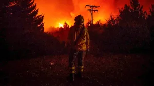 La tierra arrasada y la falacia del desarrollo sustentable