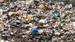 Una joven de 19 años falleció tras consumir comida de un basural en Caleta Olivia