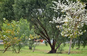 Fin de semana respirable y comienzo de la próxima con augurio de lluvias
