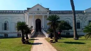 Tragedia en San Carlos Centro: un hombre murió tras un ataque de avispas