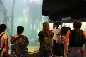 El Acuario del Río Paraná celebra su 8° aniversario con actividades abiertas y gratuitas para toda la familia