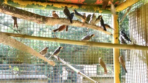 El refugio La Esmeralda recibió a más de 500 animales que habían sido decomisados