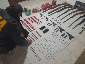 Secuestro de armas de fuego en operativo de la Policía Federal en Rosario.
