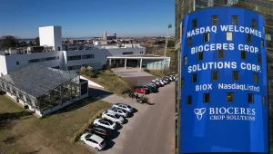 Bioceres pasó de promesa tecnológica a derrumbe: la Bolsa rosarina vendió sus acciones, desplome en Wall Street, cuentas vacías y quiebra en puerta