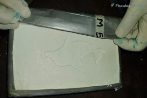 Juicio oral para 14 acusados de narcotráfico en Pergamino tras hallazgo de avioneta