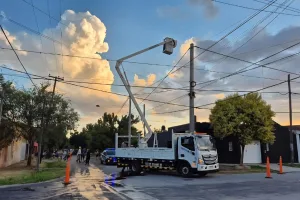 Tensión y rescate en altura: un trabajador fue atacado por un enjambre de abejas en Fisherton