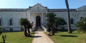 Tragedia en San Carlos Centro: un hombre murió tras un ataque de avispas