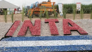 El gobierno de Milei prepara un nuevo plan para seguir desmantelando los organismos científicos: Inta y Conicet en la mira