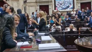 Una diputada santafesina tuvo un picante cruce con la mediática Lilia Lemoine