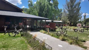 Maipú, cuna del vino y del olivo: el destino que hoy lidera el oleoturismo