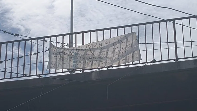 Siguen las notas mafiosas: ahora colgaron una bandera en el acceso sur contra Matías Gazzani  