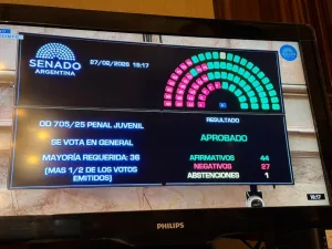 El Senado convirtió en ley la baja de la edad de punibilidad a los 14 años