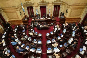 El Senado convirtió en ley la baja de la edad de punibilidad a los 14 años