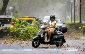 Tormenta de viento llenó de tierra y tumbó árboles en Rosario: ráfagas de 74 km/h y 70 reclamos por daños