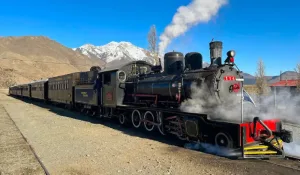 La Trochita pasa a desguace: el histórico tren patagónico se queda sin locomotoras